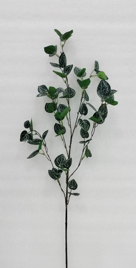 Satin Photos Money Plant Stick Big